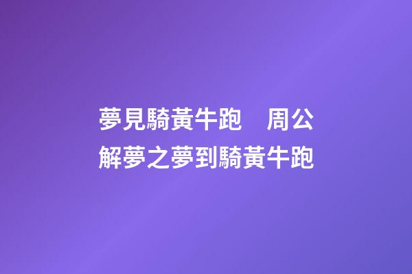夢見騎黃牛跑　周公解夢之夢到騎黃牛跑